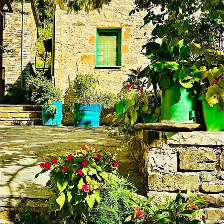 Morfeas Guesthouse بايبيغكو المظهر الخارجي الصورة