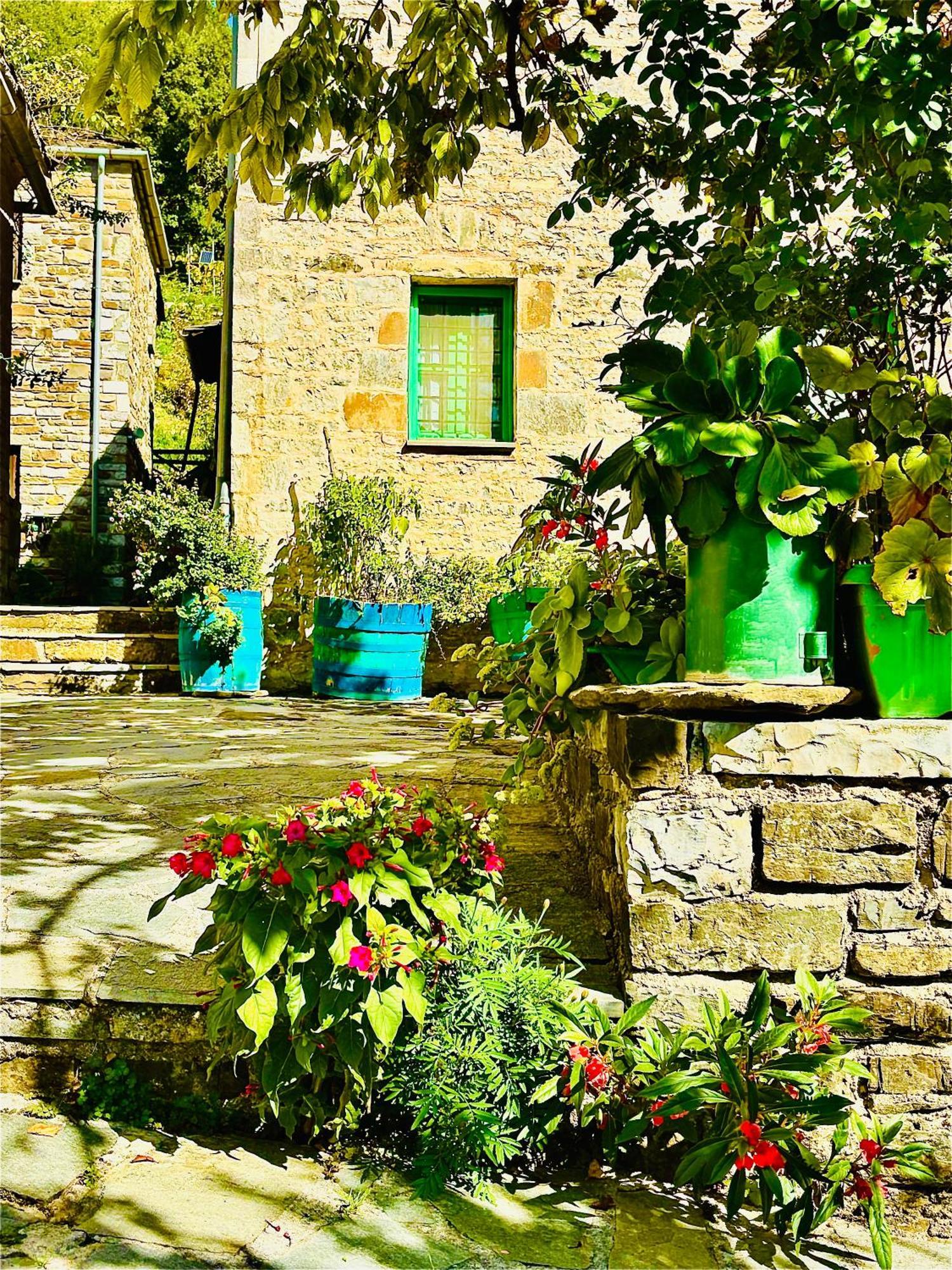 Morfeas Guesthouse بايبيغكو المظهر الخارجي الصورة