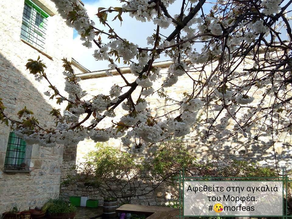 Morfeas Guesthouse بايبيغكو المظهر الخارجي الصورة
