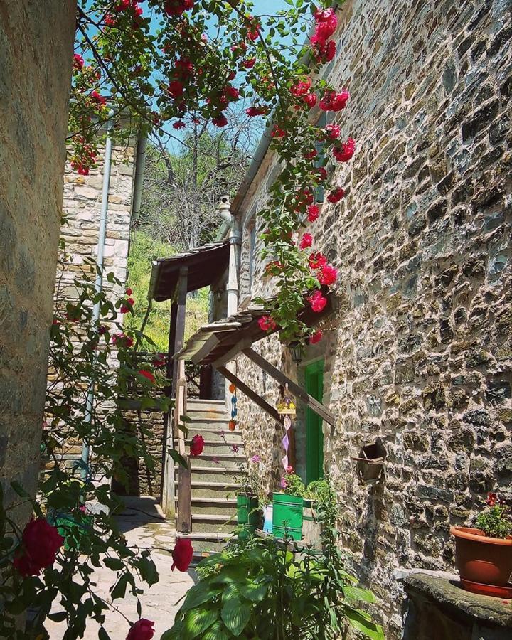 Morfeas Guesthouse بايبيغكو المظهر الخارجي الصورة