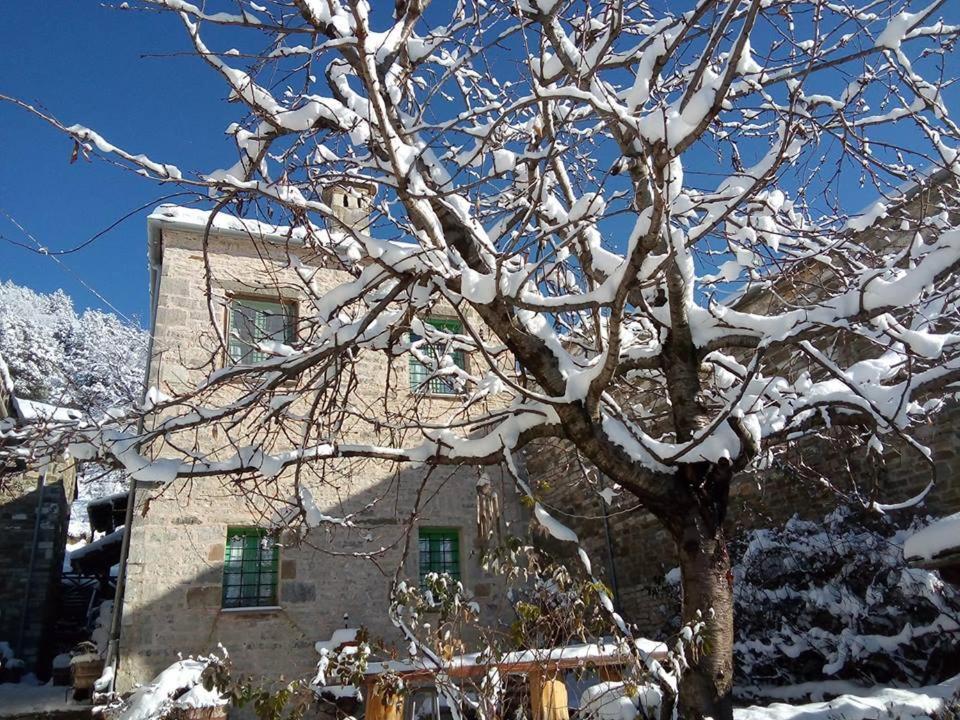 Morfeas Guesthouse بايبيغكو المظهر الخارجي الصورة